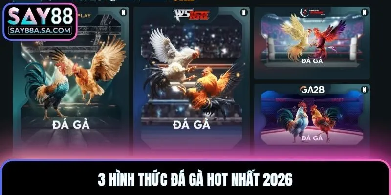 3 hình thức đá gà hot nhất 2026