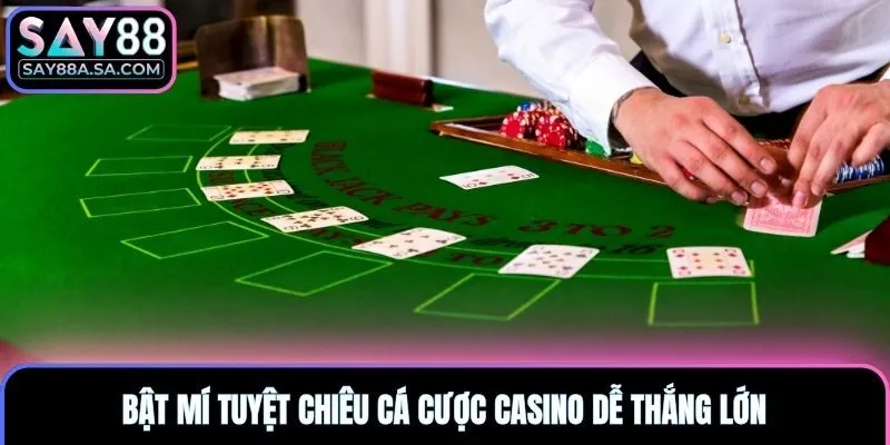 Bật mí tuyệt chiêu cá cược casino dễ thắng lớn