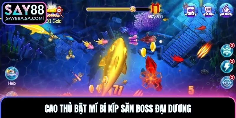 Cao thủ bật mí bí kíp săn boss đại dương