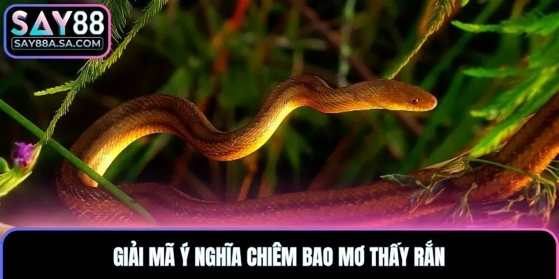 Giải mã ý nghĩa chiêm bao mơ thấy rắn
