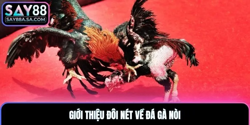 Giới thiệu đôi nét về đá gà nòi