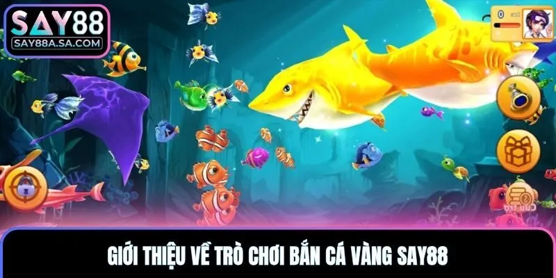 Giới thiệu về trò chơi bắn cá vàng Say88