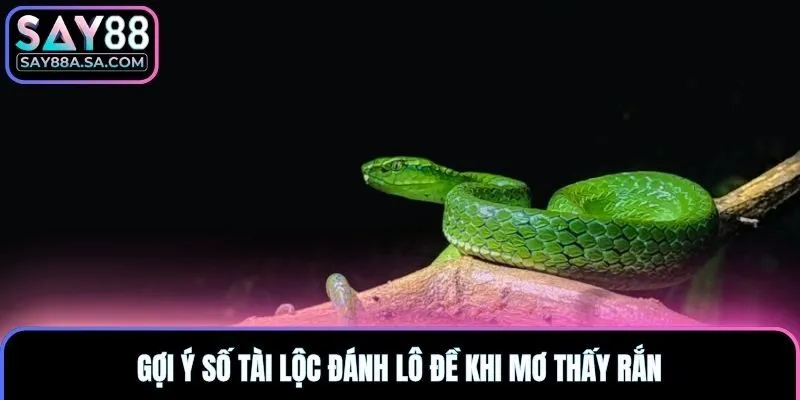 Gợi ý số tài lộc đánh lô đề khi mơ thấy rắn
