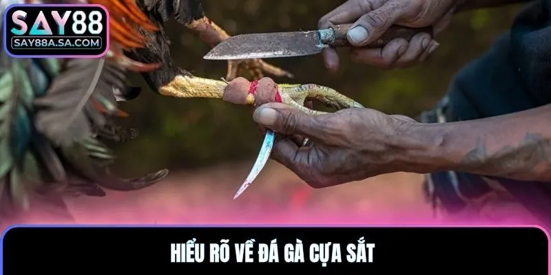 Hiểu rõ về đá gà cựa sắt 