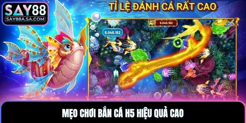 Mẹo chơi Bắn Cá H5 hiệu quả cao