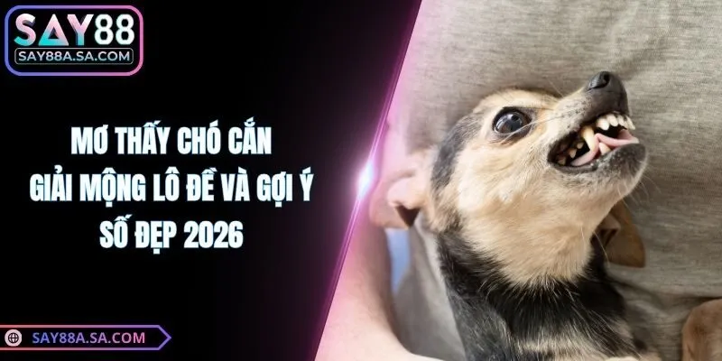 Mơ Thấy Chó Cắn - Giải Mộng Lô Đề Và Gợi Ý Số Đẹp 2026