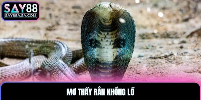 Mơ thấy rắn khổng lồ