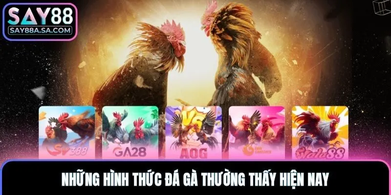 Những hình thức đá gà thường thấy hiện nay