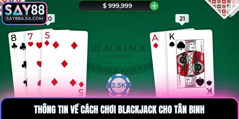 Thông tin về cách chơi blackjack cho tân binh
