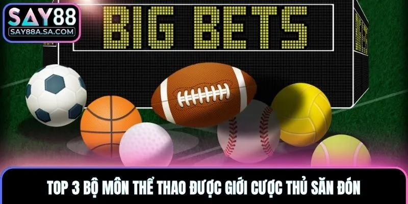 Top 3 bộ môn thể thao được giới cược thủ săn đón
